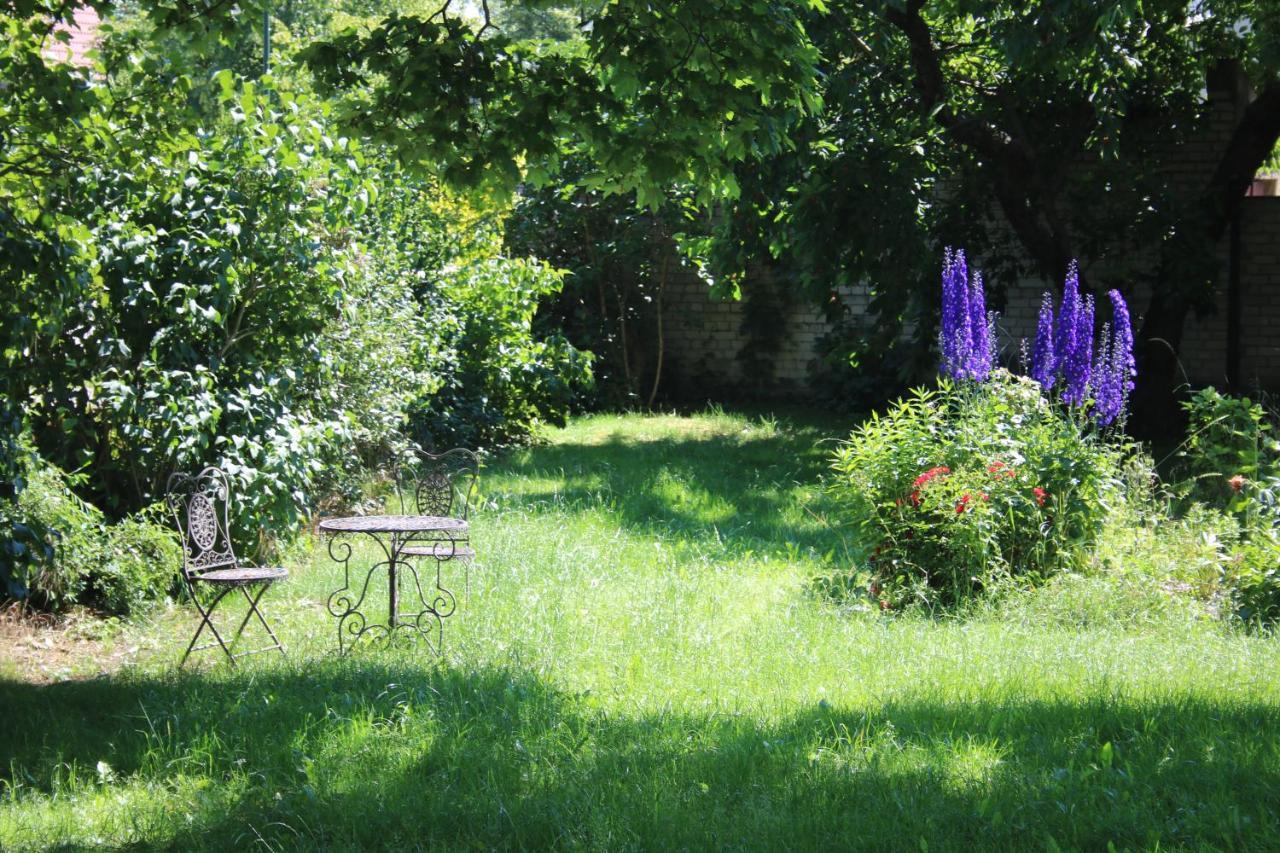 Ferienwohnung Am Weltnaturerbe Grumsin Ziehten 外观 照片