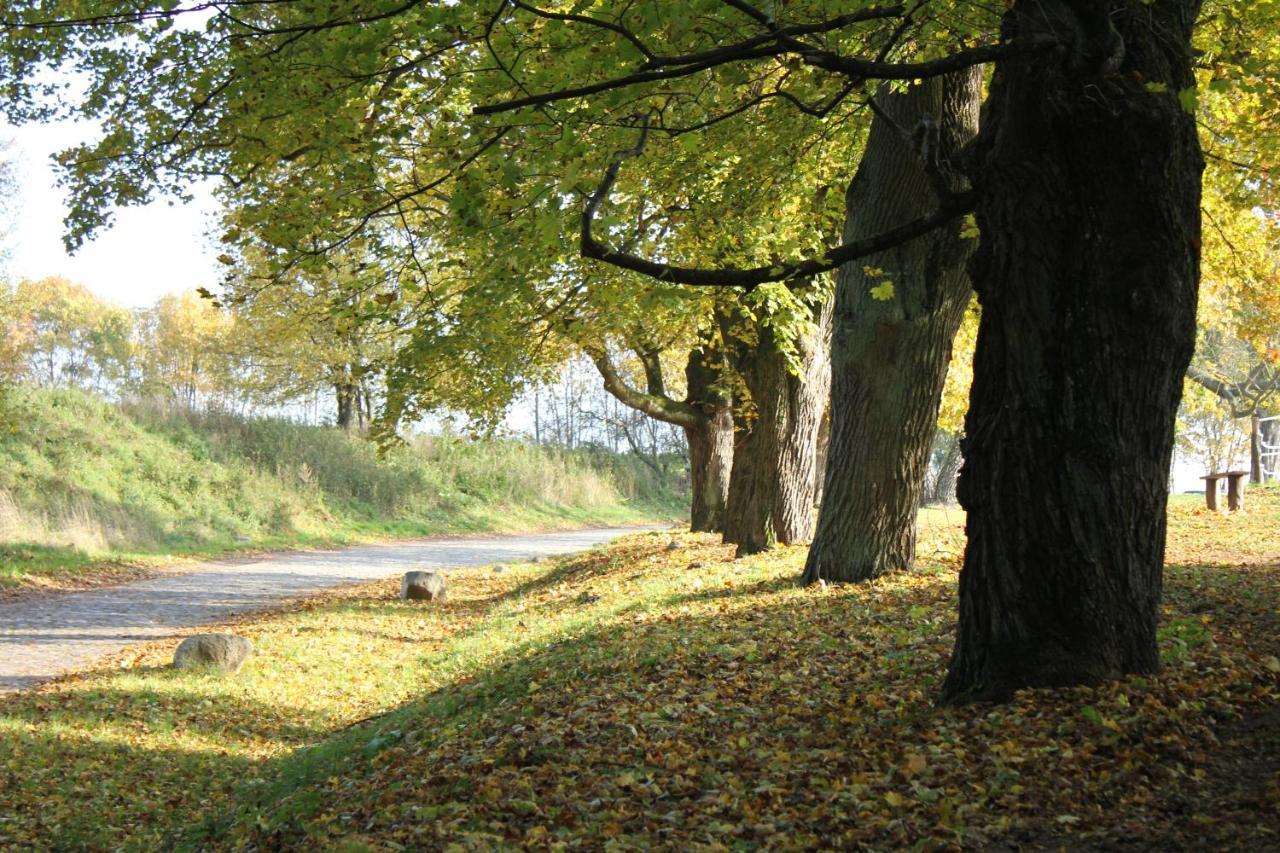 Ferienwohnung Am Weltnaturerbe Grumsin Ziehten 外观 照片